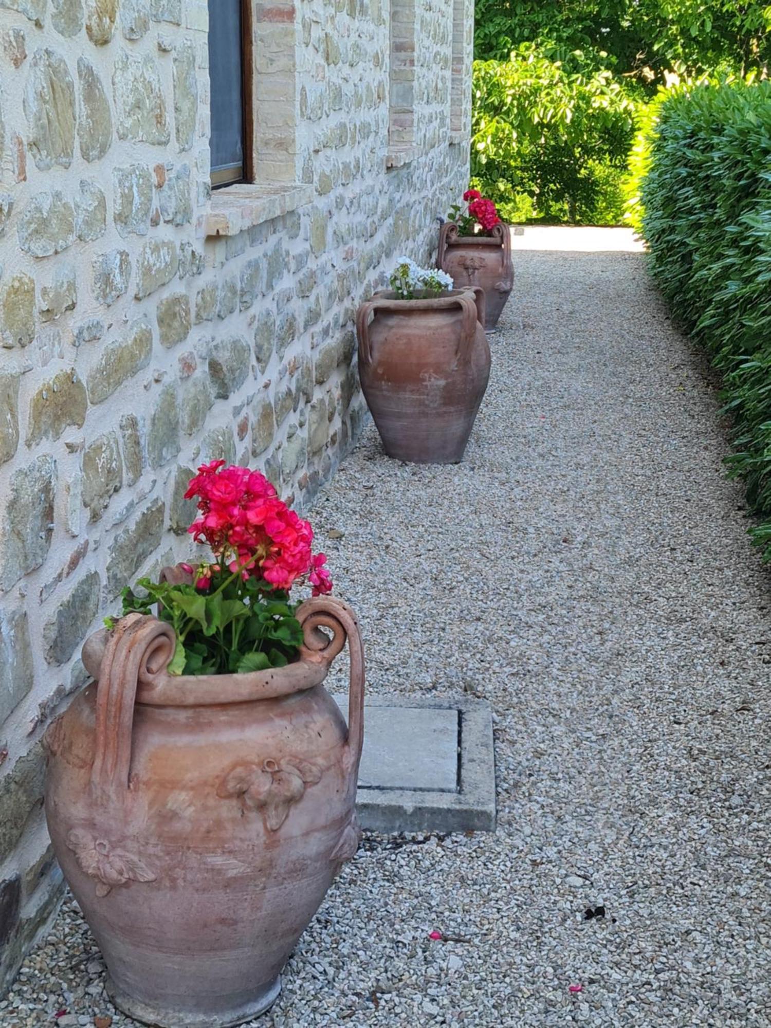 La Mela Rosa Bed & Breakfast Amandola Exterior photo